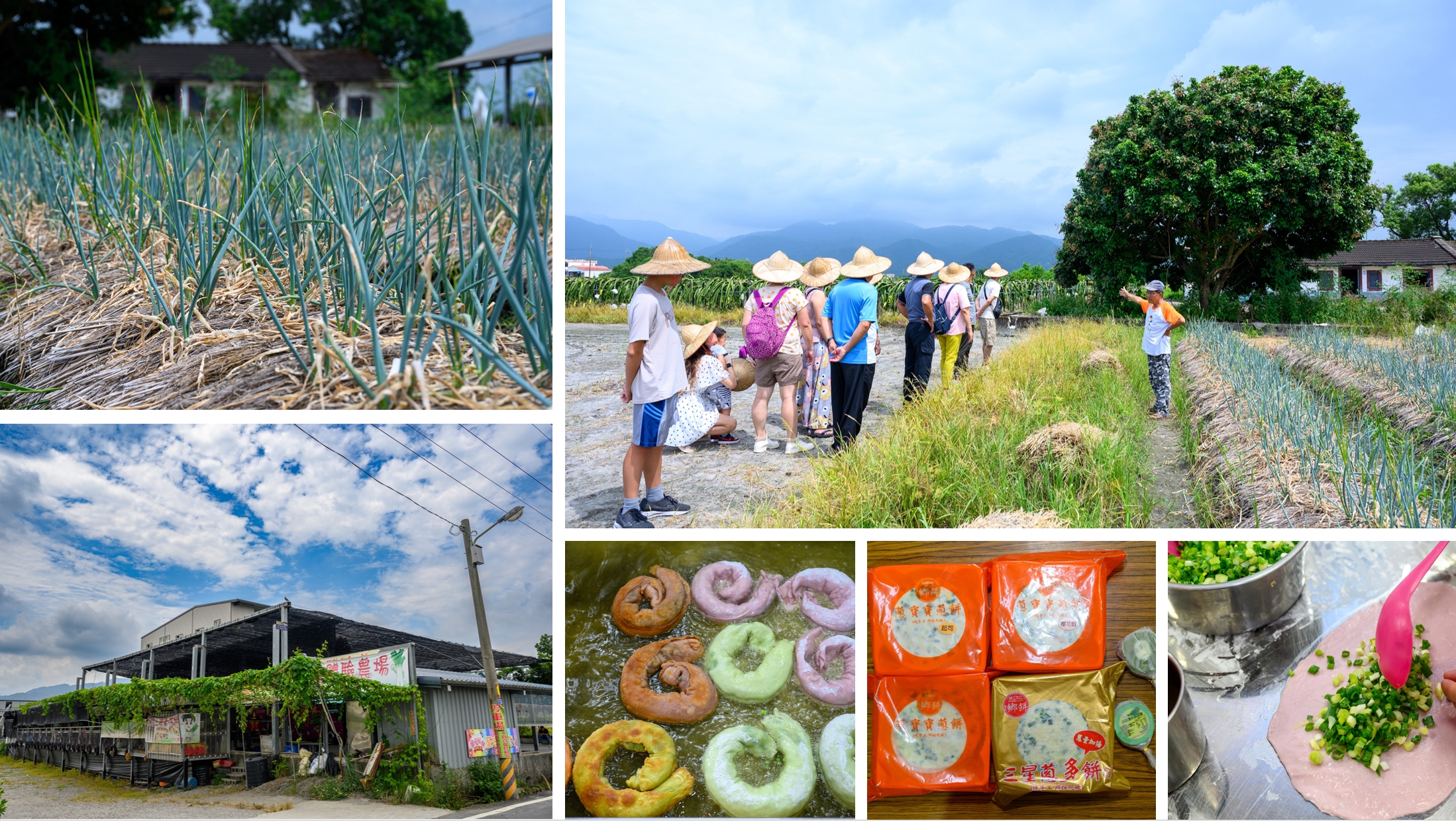 2026 螢火蟲季必住！宜蘭三富休閒農場・紫森林旅宿｜一年效期住宿券，親子餵魚玩水採柚子全攻略