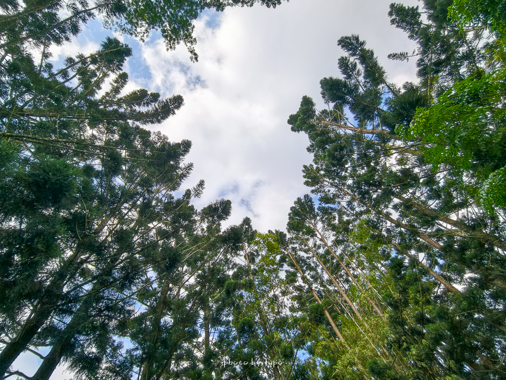 【峇嵐杉丘Balan Hill Glamping奢華露營全房型開箱】南投日月潭豪華露營推薦｜超澎湃海陸火鍋火烤兩吃、一泊三食