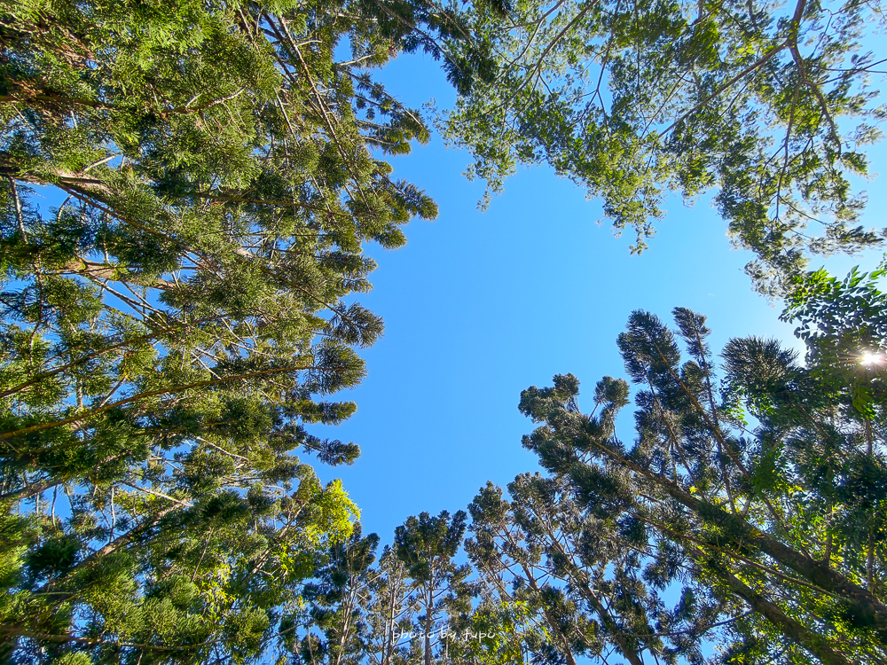 【峇嵐杉丘Balan Hill Glamping奢華露營全房型開箱】南投日月潭豪華露營推薦｜超澎湃海陸火鍋火烤兩吃、一泊三食