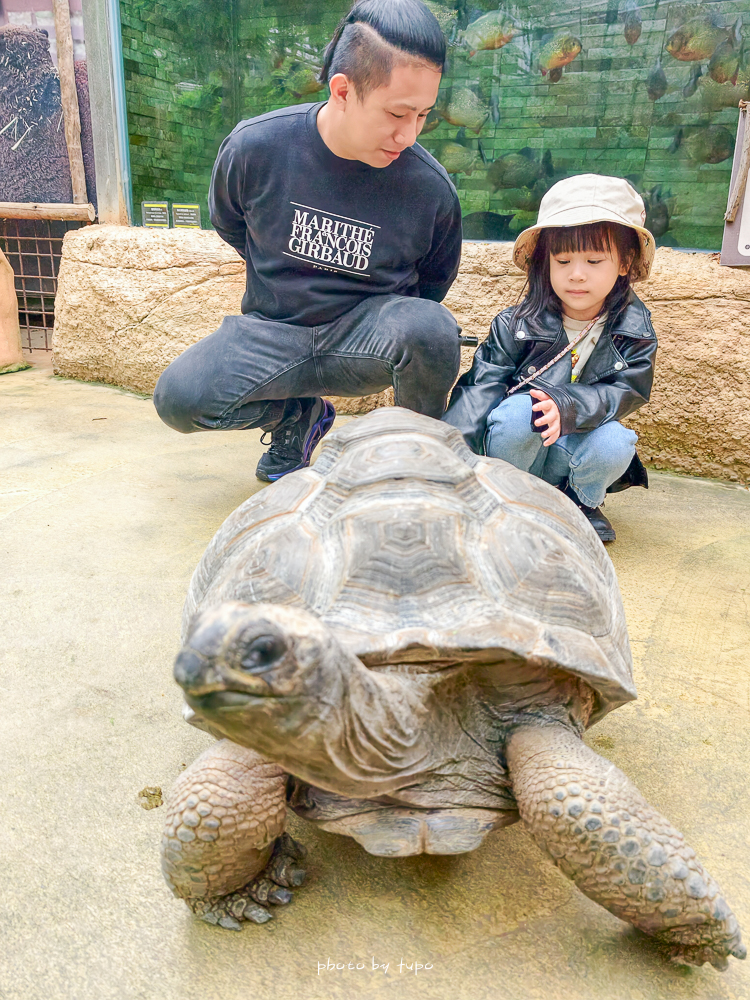 宜蘭雨天親子景點｜2026 蘭陽動植物王國攻略，最新茶杯豬互動，超過 20 種動物互動餵食、動物老師解說＋門票一次整理