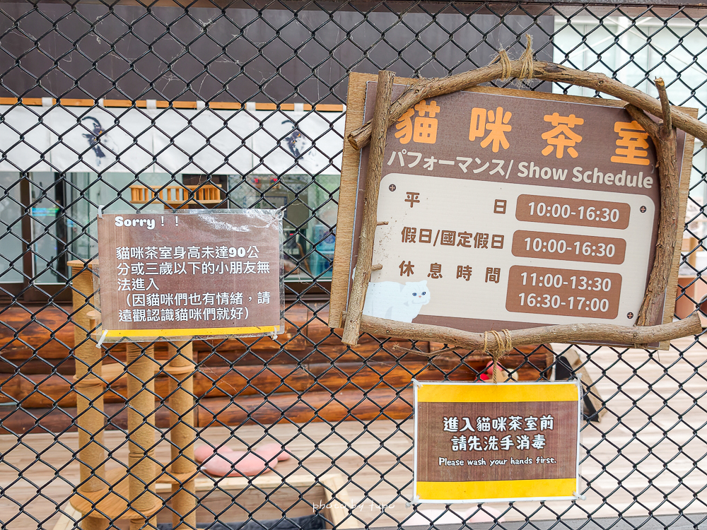 宜蘭雨天親子景點｜2026 蘭陽動植物王國攻略，最新茶杯豬互動，超過 20 種動物互動餵食、動物老師解說＋門票一次整理