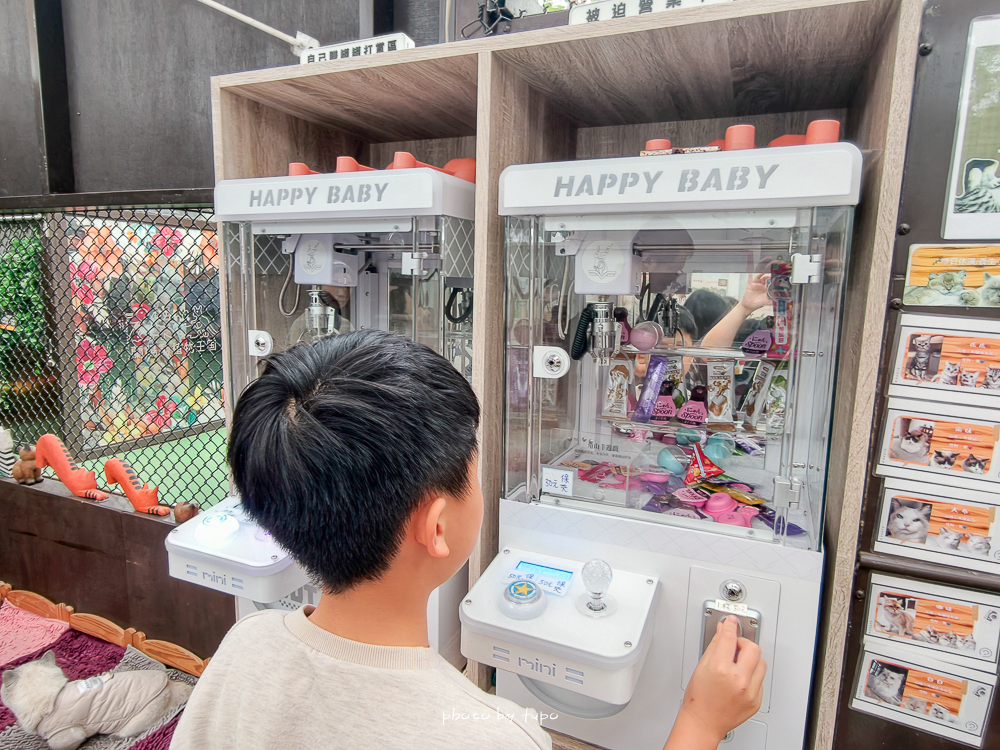 宜蘭雨天親子景點｜2026 蘭陽動植物王國攻略，最新茶杯豬互動，超過 20 種動物互動餵食、動物老師解說＋門票一次整理