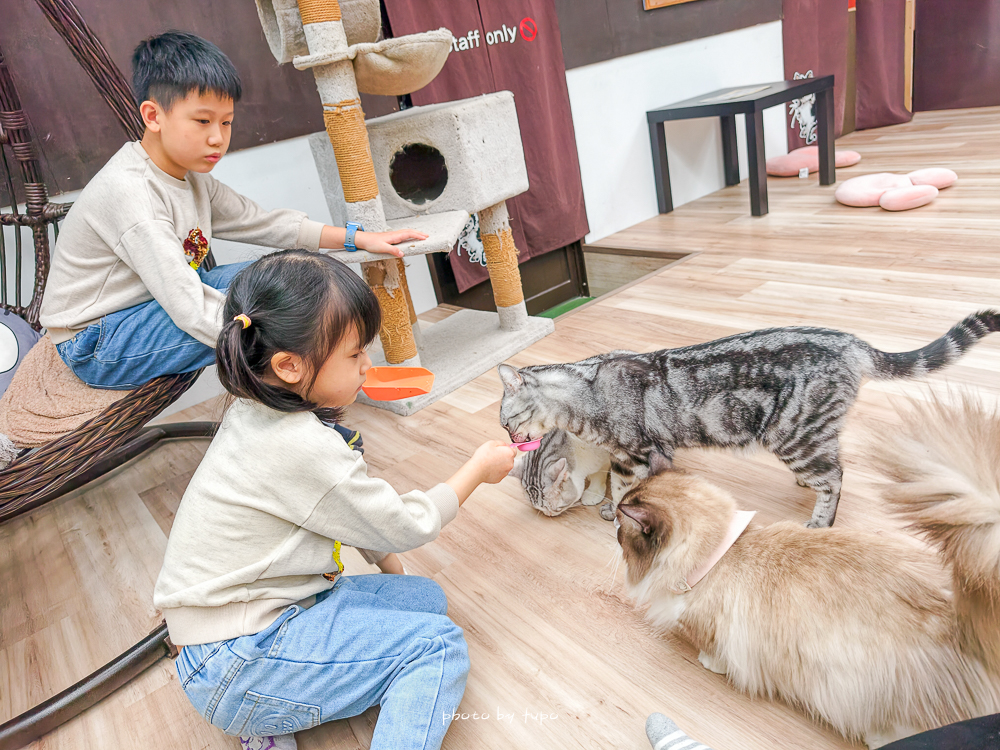宜蘭雨天親子景點｜2026 蘭陽動植物王國攻略，最新茶杯豬互動，超過 20 種動物互動餵食、動物老師解說＋門票一次整理