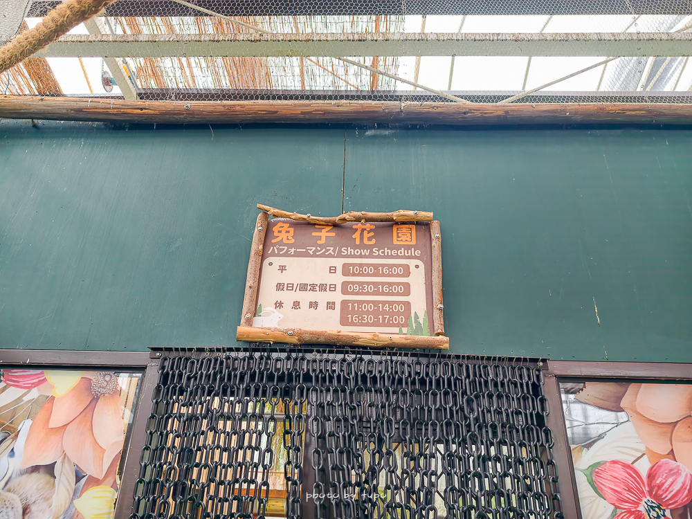 宜蘭雨天親子景點｜2026 蘭陽動植物王國攻略，最新茶杯豬互動，超過 20 種動物互動餵食、動物老師解說＋門票一次整理