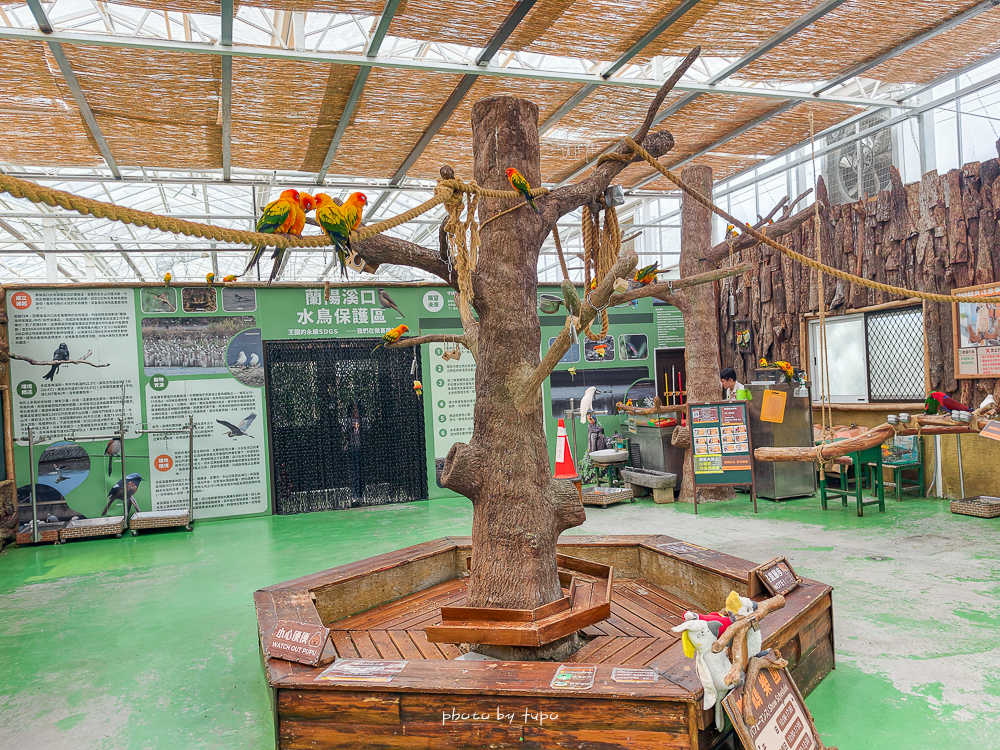 宜蘭雨天親子景點｜2026 蘭陽動植物王國攻略，最新茶杯豬互動，超過 20 種動物互動餵食、動物老師解說＋門票一次整理