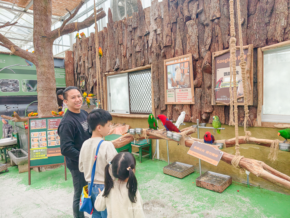 宜蘭雨天親子景點｜2026 蘭陽動植物王國攻略，最新茶杯豬互動，超過 20 種動物互動餵食、動物老師解說＋門票一次整理