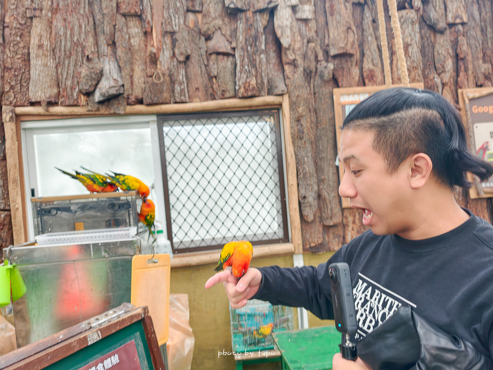 宜蘭雨天親子景點｜2026 蘭陽動植物王國攻略，最新茶杯豬互動，超過 20 種動物互動餵食、動物老師解說＋門票一次整理