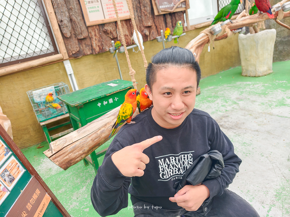 宜蘭雨天親子景點｜2026 蘭陽動植物王國攻略，最新茶杯豬互動，超過 20 種動物互動餵食、動物老師解說＋門票一次整理