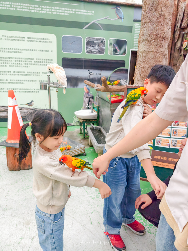 宜蘭雨天親子景點｜2026 蘭陽動植物王國攻略，最新茶杯豬互動，超過 20 種動物互動餵食、動物老師解說＋門票一次整理