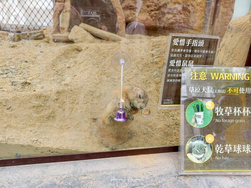 宜蘭雨天親子景點｜2026 蘭陽動植物王國攻略，最新茶杯豬互動，超過 20 種動物互動餵食、動物老師解說＋門票一次整理