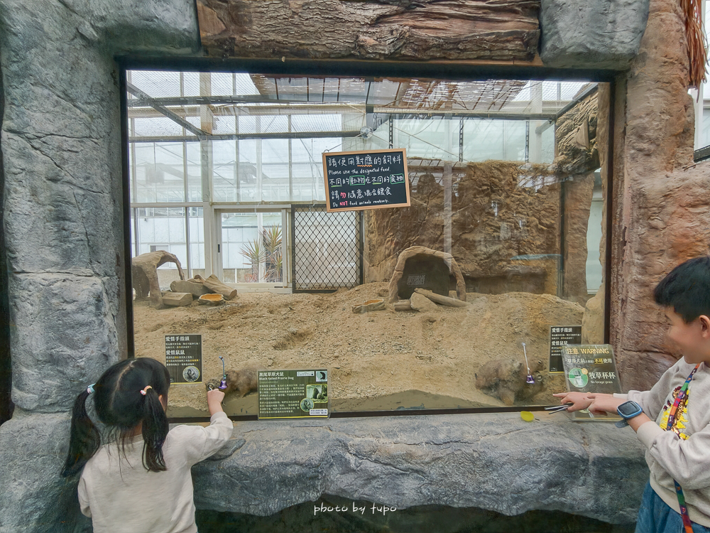 宜蘭雨天親子景點｜2026 蘭陽動植物王國攻略，最新茶杯豬互動，超過 20 種動物互動餵食、動物老師解說＋門票一次整理