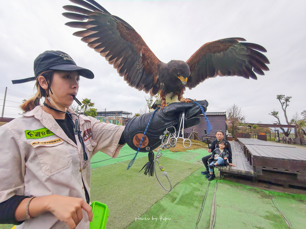 宜蘭雨天親子景點｜2026 蘭陽動植物王國攻略，最新茶杯豬互動，超過 20 種動物互動餵食、動物老師解說＋門票一次整理