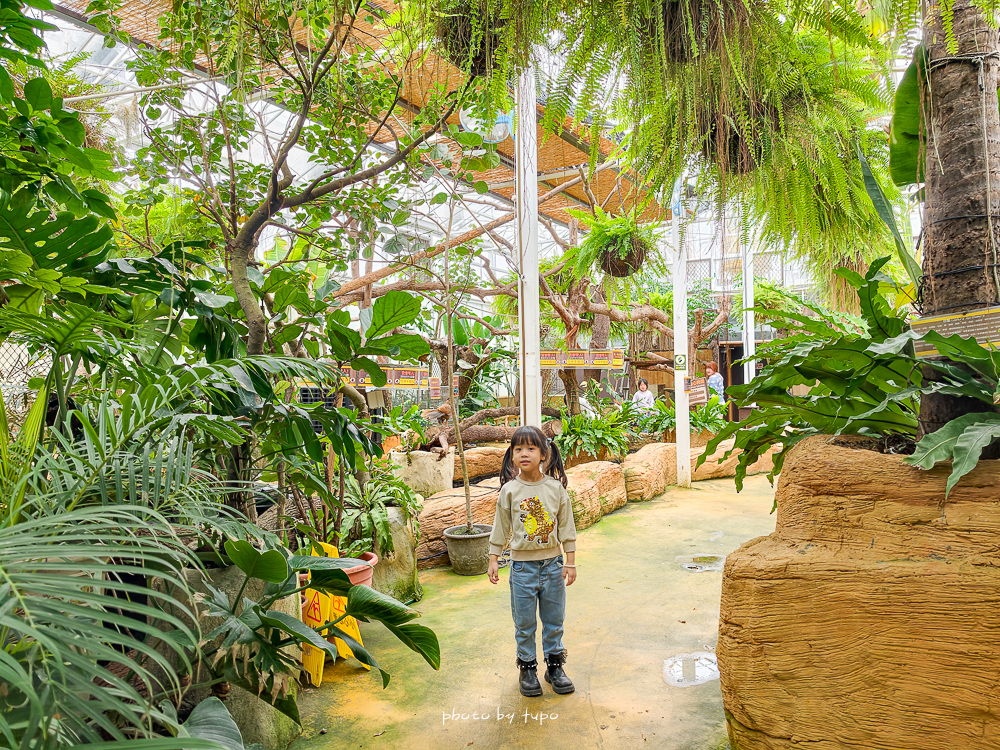 宜蘭雨天親子景點｜2026 蘭陽動植物王國攻略，最新茶杯豬互動，超過 20 種動物互動餵食、動物老師解說＋門票一次整理