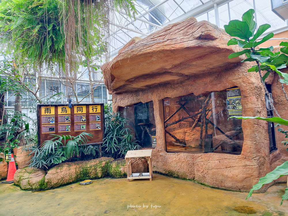 宜蘭雨天親子景點｜2026 蘭陽動植物王國攻略，最新茶杯豬互動，超過 20 種動物互動餵食、動物老師解說＋門票一次整理