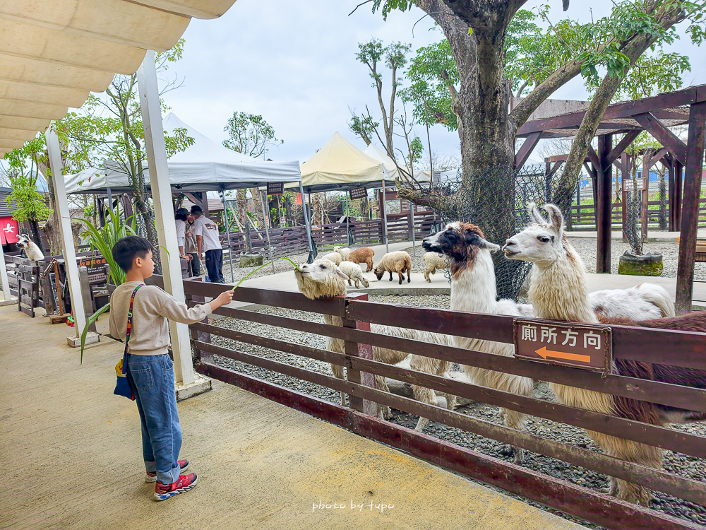 宜蘭雨天親子景點｜2026 蘭陽動植物王國攻略，最新茶杯豬互動，超過 20 種動物互動餵食、動物老師解說＋門票一次整理