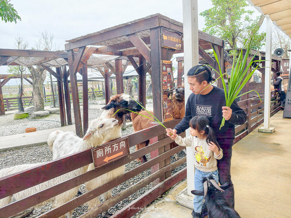 宜蘭雨天親子景點｜2026 蘭陽動植物王國攻略，最新茶杯豬互動，超過 20 種動物互動餵食、動物老師解說＋門票一次整理