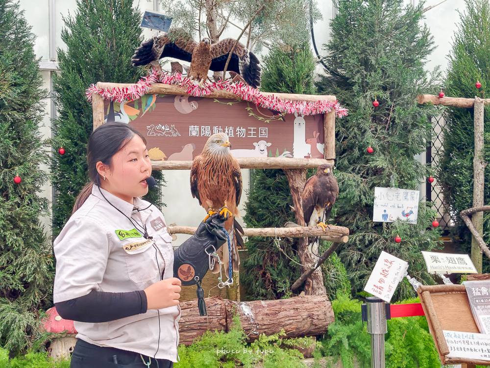 宜蘭雨天親子景點｜2026 蘭陽動植物王國攻略，最新茶杯豬互動，超過 20 種動物互動餵食、動物老師解說＋門票一次整理