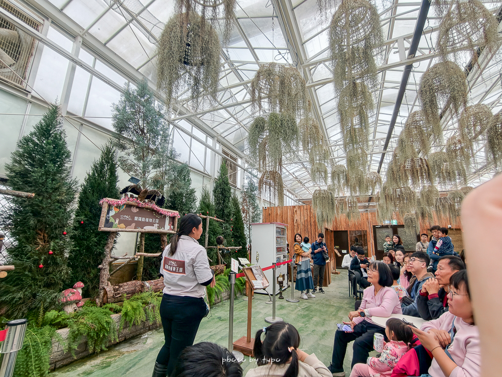 宜蘭雨天親子景點｜2026 蘭陽動植物王國攻略，最新茶杯豬互動，超過 20 種動物互動餵食、動物老師解說＋門票一次整理