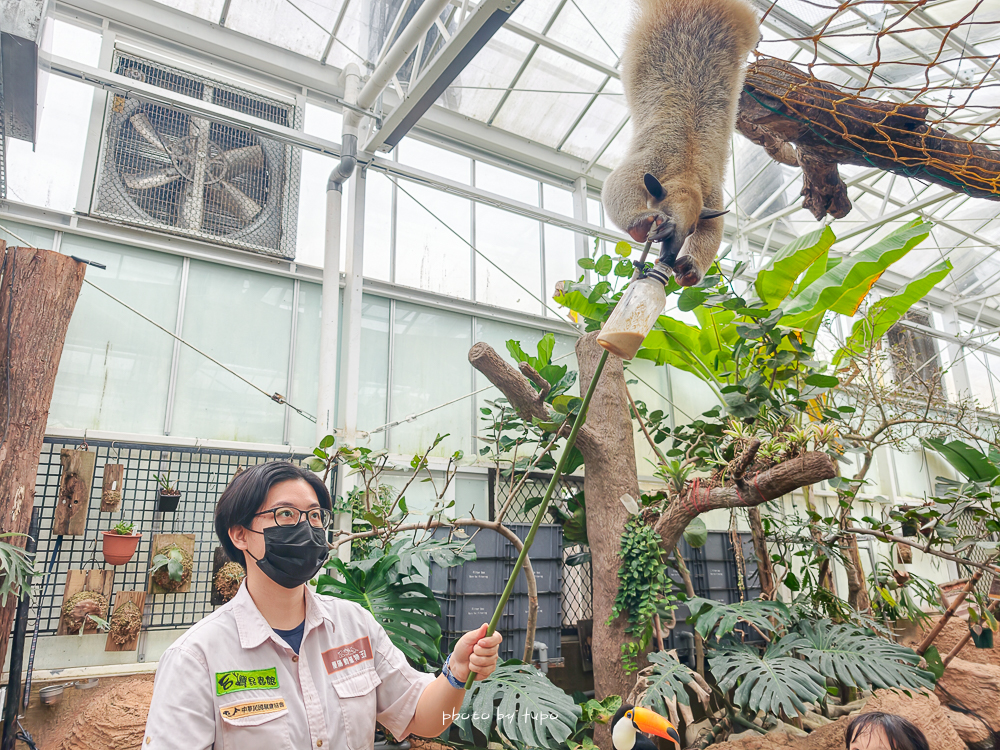 宜蘭雨天親子景點｜2026 蘭陽動植物王國攻略，最新茶杯豬互動，超過 20 種動物互動餵食、動物老師解說＋門票一次整理