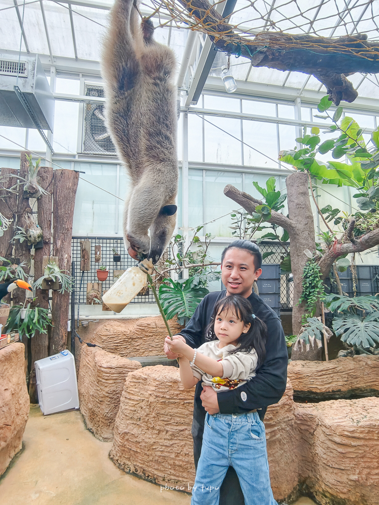 宜蘭雨天親子景點｜2026 蘭陽動植物王國攻略，最新茶杯豬互動，超過 20 種動物互動餵食、動物老師解說＋門票一次整理
