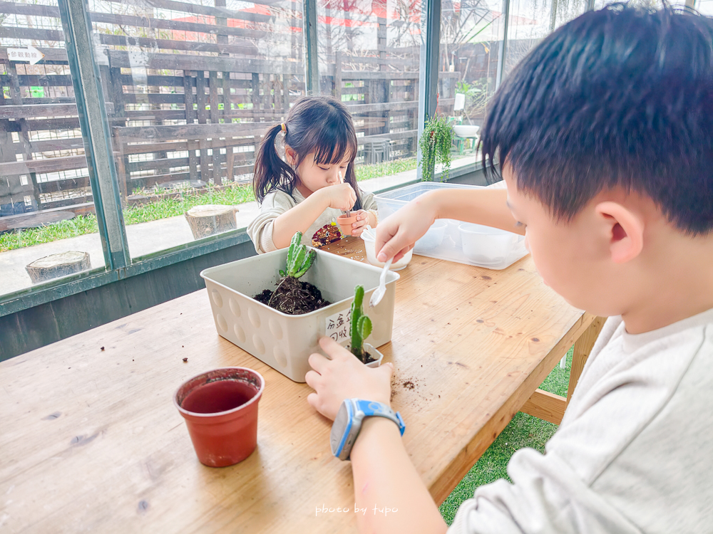 宜蘭雨天親子景點｜2026 蘭陽動植物王國攻略，最新茶杯豬互動，超過 20 種動物互動餵食、動物老師解說＋門票一次整理