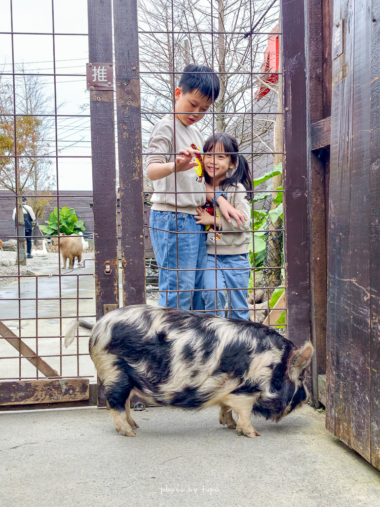 宜蘭雨天親子景點｜2026 蘭陽動植物王國攻略，最新茶杯豬互動，超過 20 種動物互動餵食、動物老師解說＋門票一次整理
