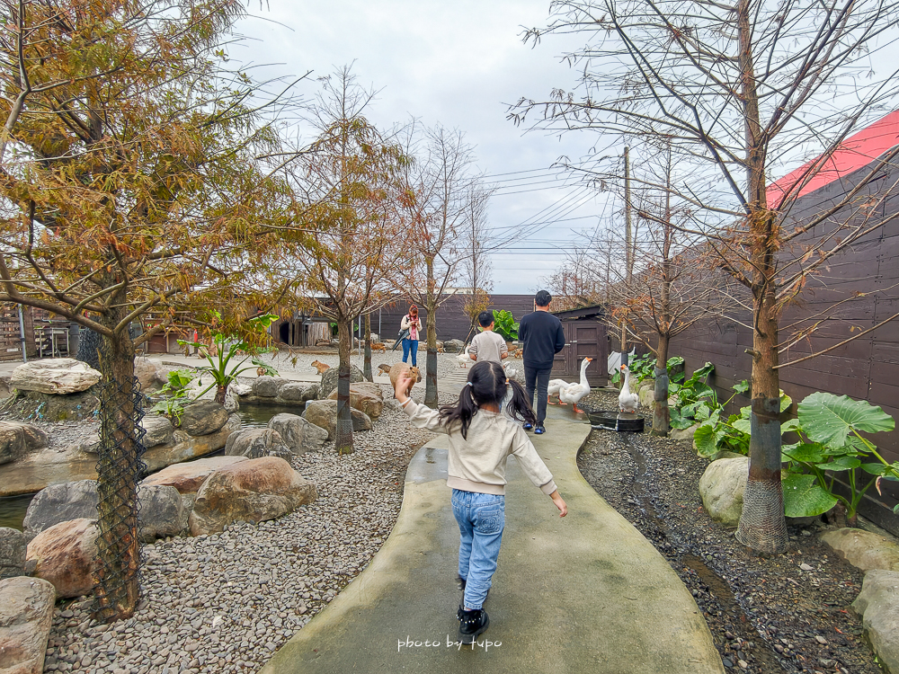 宜蘭雨天親子景點｜2026 蘭陽動植物王國攻略，最新茶杯豬互動，超過 20 種動物互動餵食、動物老師解說＋門票一次整理