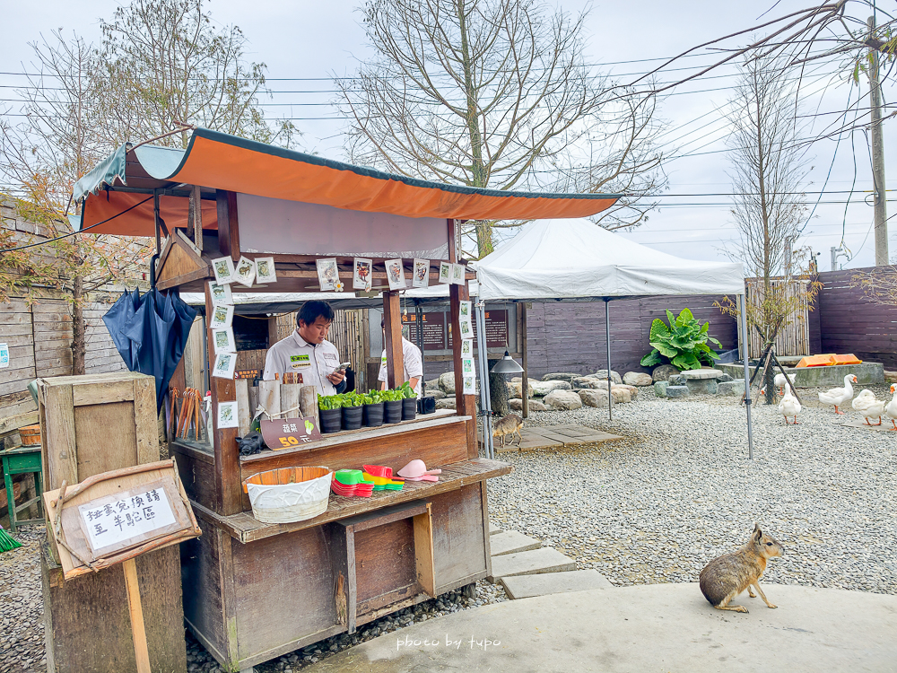 宜蘭雨天親子景點｜2026 蘭陽動植物王國攻略，最新茶杯豬互動，超過 20 種動物互動餵食、動物老師解說＋門票一次整理