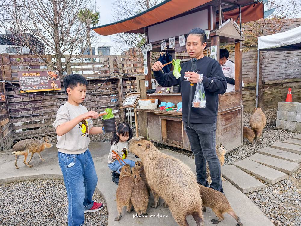 宜蘭雨天親子景點｜2026 蘭陽動植物王國攻略，最新茶杯豬互動，超過 20 種動物互動餵食、動物老師解說＋門票一次整理