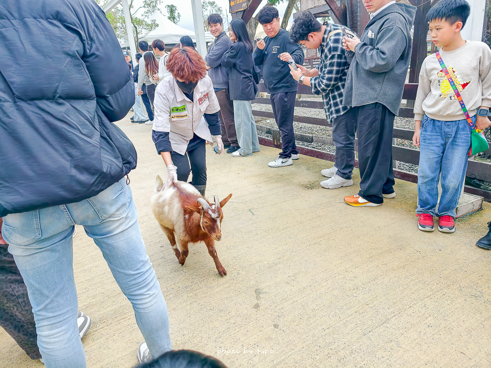 宜蘭雨天親子景點｜2026 蘭陽動植物王國攻略，最新茶杯豬互動，超過 20 種動物互動餵食、動物老師解說＋門票一次整理