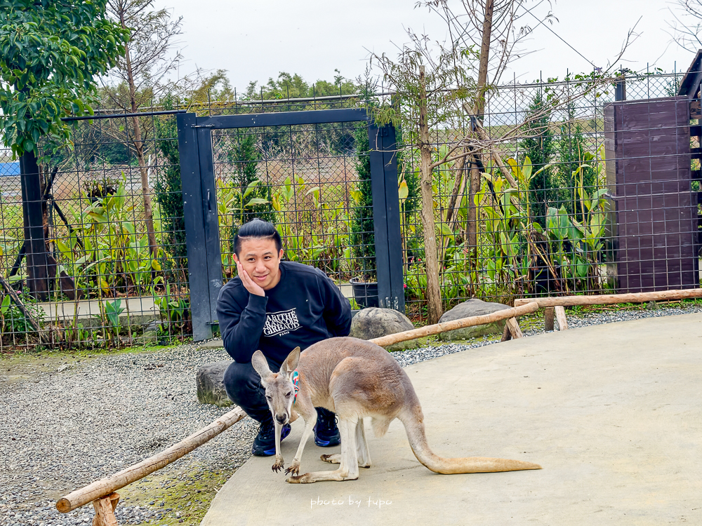 宜蘭雨天親子景點｜2026 蘭陽動植物王國攻略，最新茶杯豬互動，超過 20 種動物互動餵食、動物老師解說＋門票一次整理