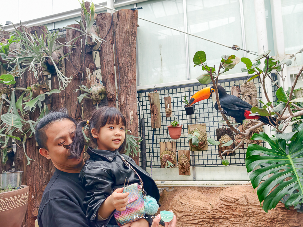 宜蘭雨天親子景點｜2026 蘭陽動植物王國攻略，最新茶杯豬互動，超過 20 種動物互動餵食、動物老師解說＋門票一次整理