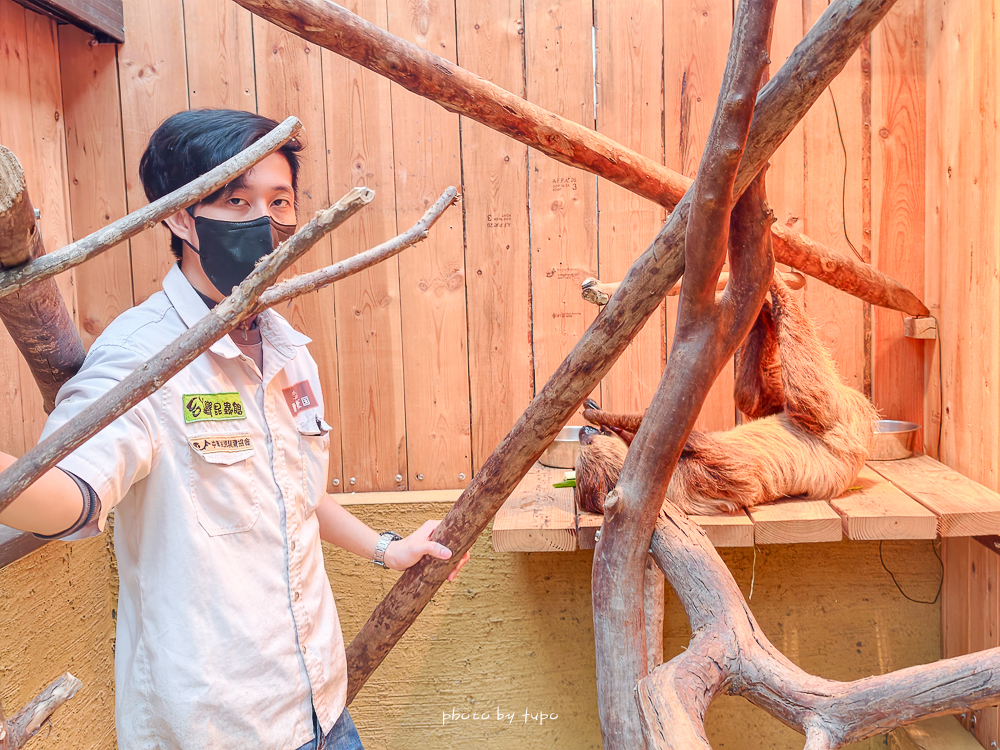 宜蘭雨天親子景點｜2026 蘭陽動植物王國攻略，最新茶杯豬互動，超過 20 種動物互動餵食、動物老師解說＋門票一次整理