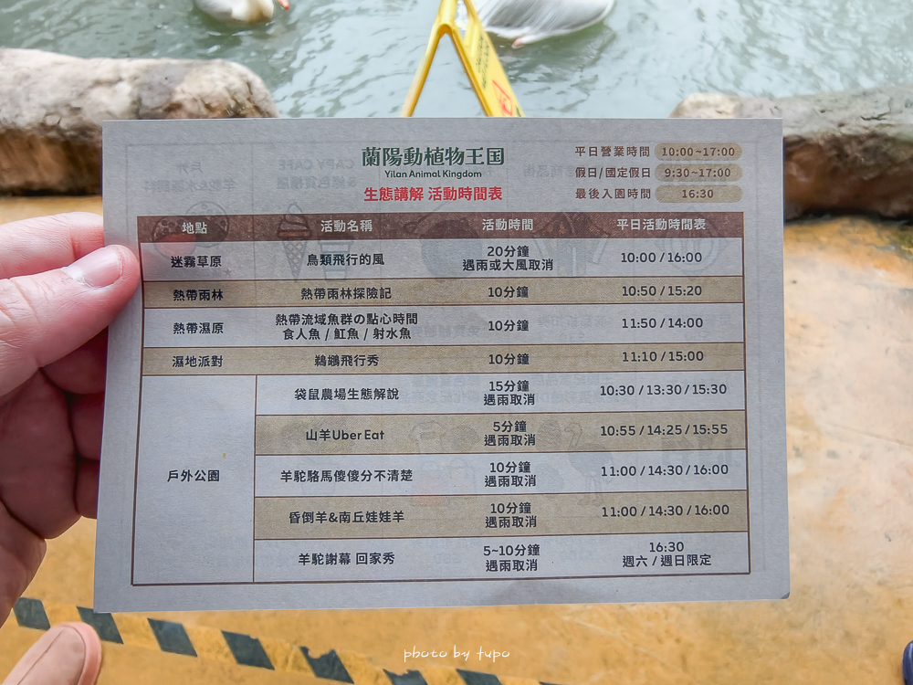 宜蘭雨天親子景點｜2026 蘭陽動植物王國攻略，最新茶杯豬互動，超過 20 種動物互動餵食、動物老師解說＋門票一次整理