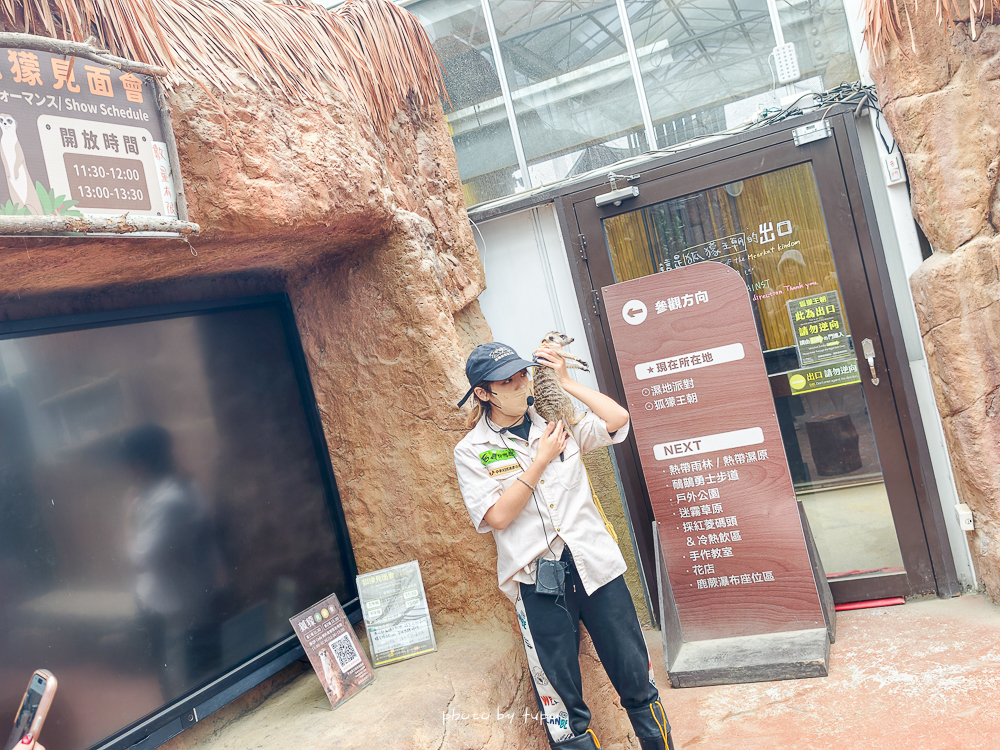 宜蘭雨天親子景點｜2026 蘭陽動植物王國攻略，最新茶杯豬互動，超過 20 種動物互動餵食、動物老師解說＋門票一次整理