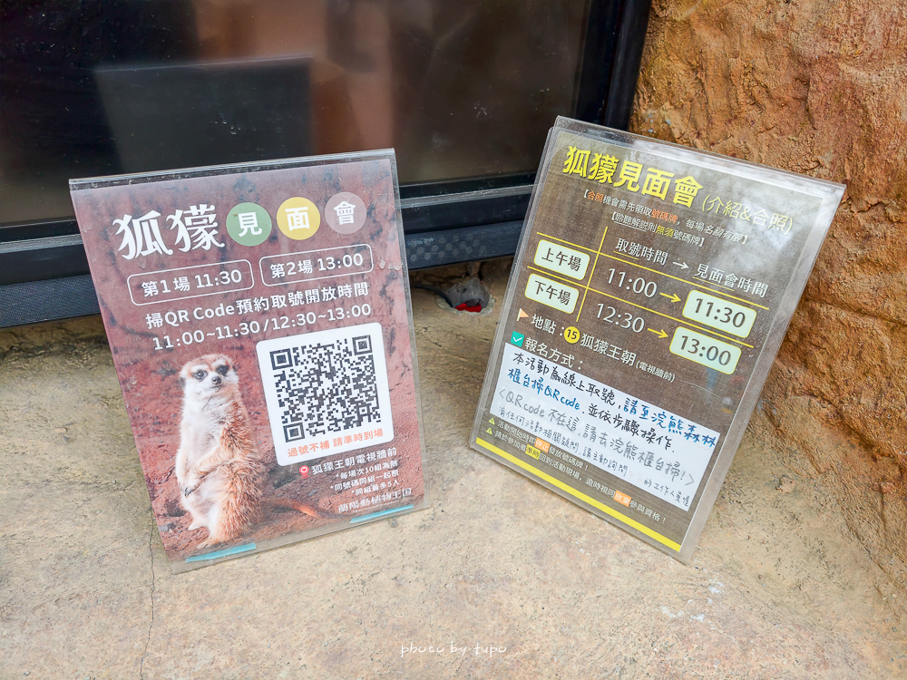 宜蘭雨天親子景點｜2026 蘭陽動植物王國攻略，最新茶杯豬互動，超過 20 種動物互動餵食、動物老師解說＋門票一次整理