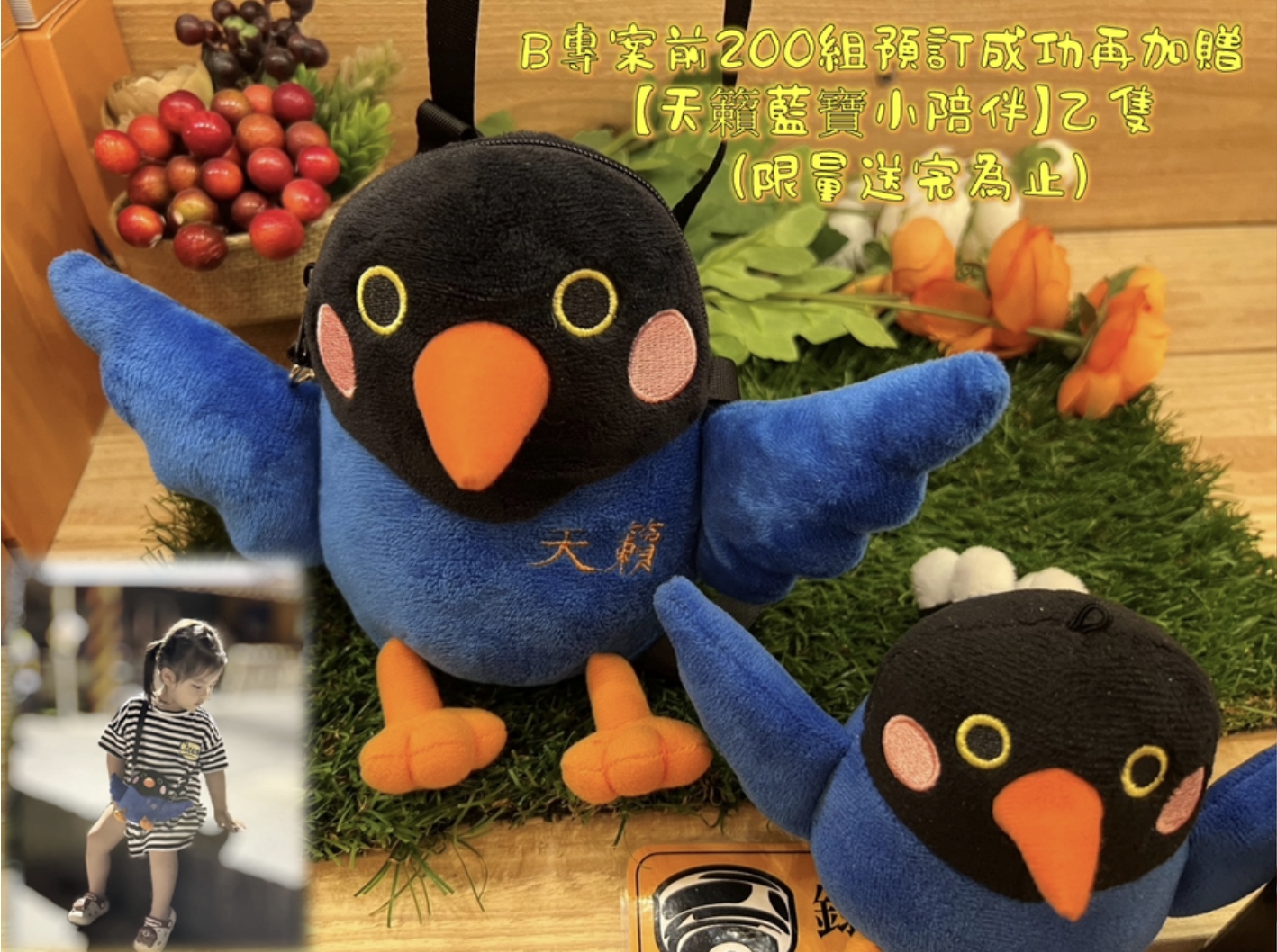 陽明山天籟溫泉住宿攻略，泡湯、水樂園與房型一次看，2026 方案整理