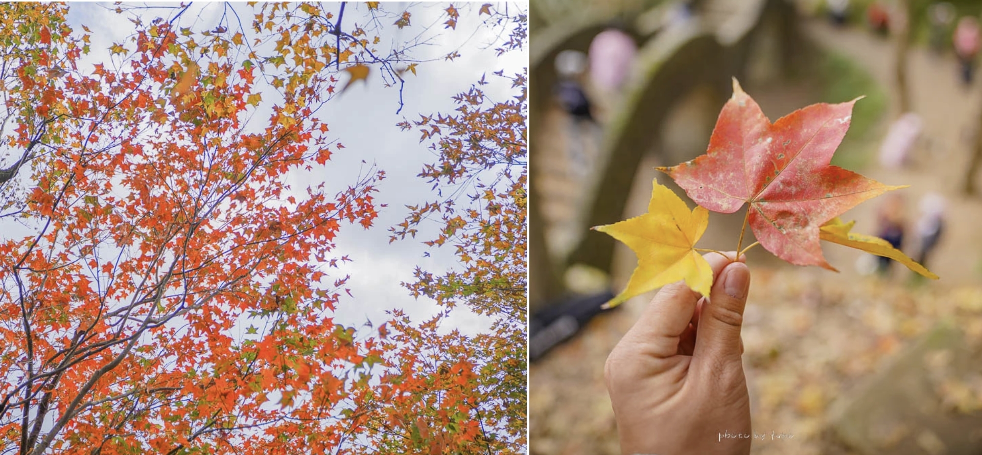 2026 汐止南港住宿推薦|汐止福泰大飯店 平價商務飯店,一泊二食日式海鮮鍋物或中式套餐 $2XXX 起,免費接駁到南港展覽館•南港車站•lalaport 2026 汐止南港住宿推薦|汐止福泰大飯店 平價商務飯店,一泊二食日式海鮮鍋物或中式套餐 $2XXX 起,免費接駁到南港展覽館•南港車站•lalaport