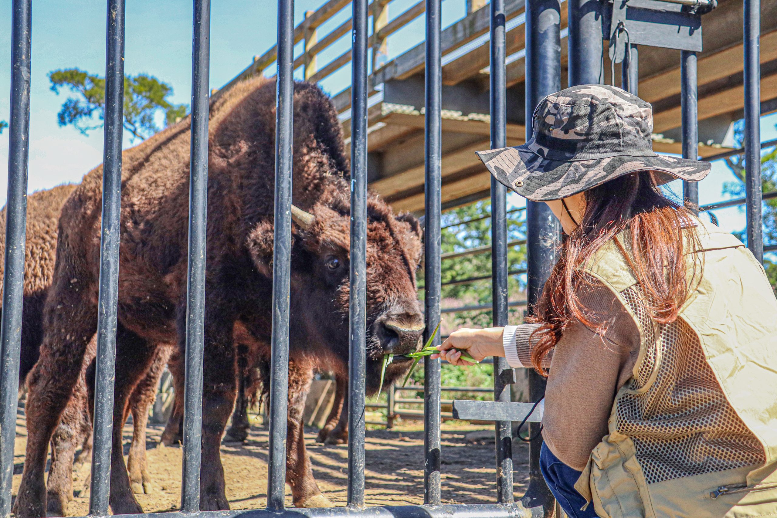2026 關西六福莊團購優惠|含早餐+升級自助晚餐、暢玩六福村二日、動物體驗,第二晚 $5999 起 2026 關西六福莊團購優惠|含早餐+升級自助晚餐、暢玩六福村二日、動物體驗,第二晚 $5999 起