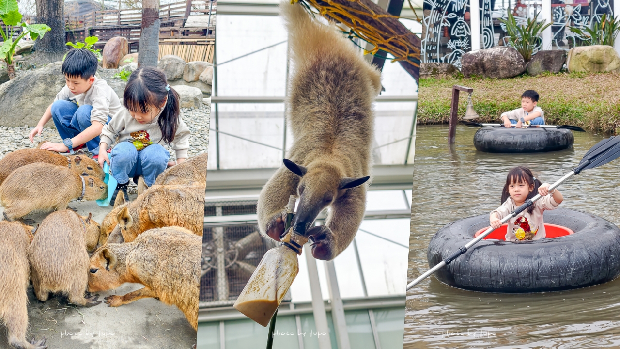 宜蘭雨天親子景點｜2026 蘭陽動植物王國攻略，最新茶杯豬互動，超過 20 種動物互動餵食、動物老師解說＋門票一次整理 @小腹婆大世界