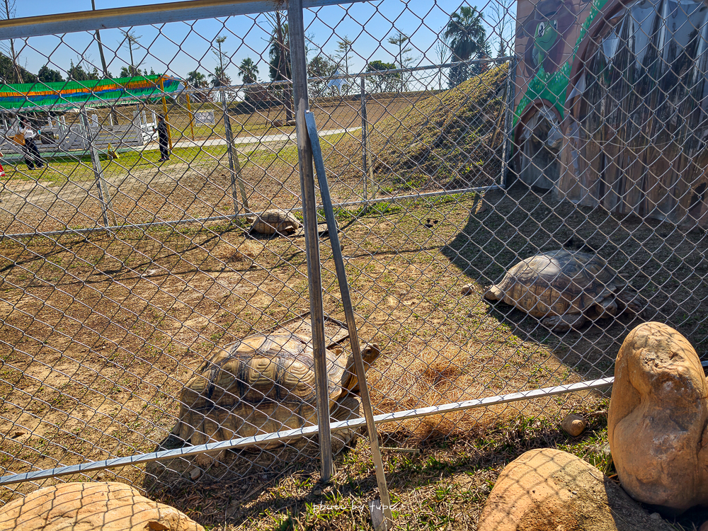 2026台中麗寶最狂首團！最新動物園、麗寶飯店、麗寶賽車旅店任你選，贈樂園門票、小孩免費入住