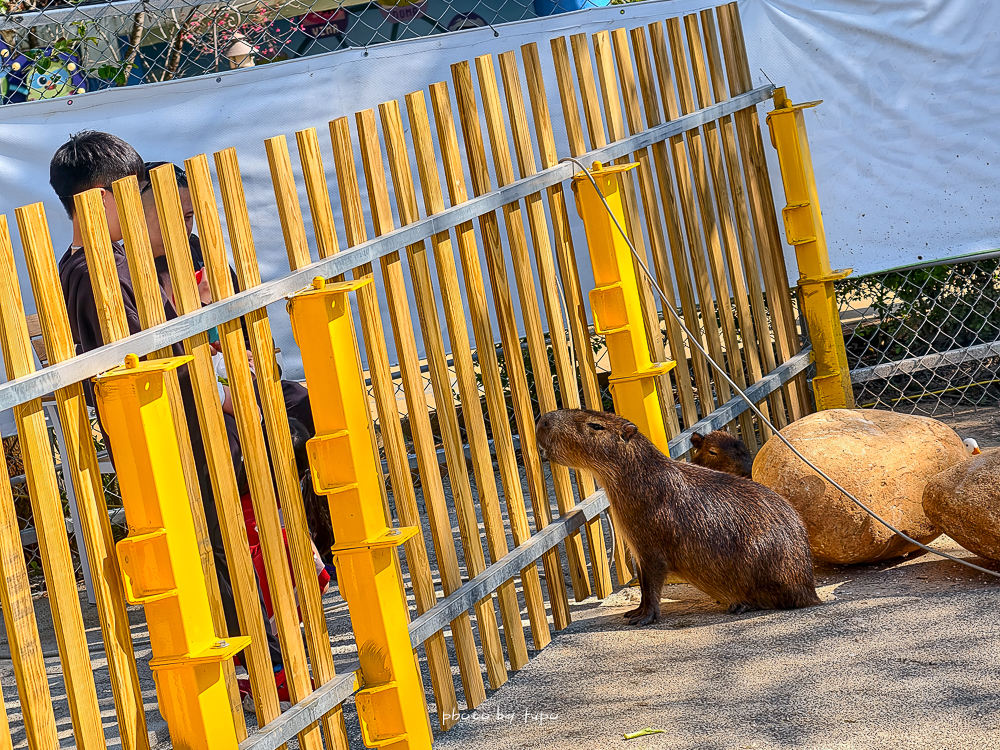 2026台中麗寶最狂首團!最新動物園、麗寶飯店、麗寶賽車旅店任你選,贈樂園門票、小孩免費入住 2026台中麗寶最狂首團!最新動物園、麗寶飯店、麗寶賽車旅店任你選,贈樂園門票、小孩免費入住