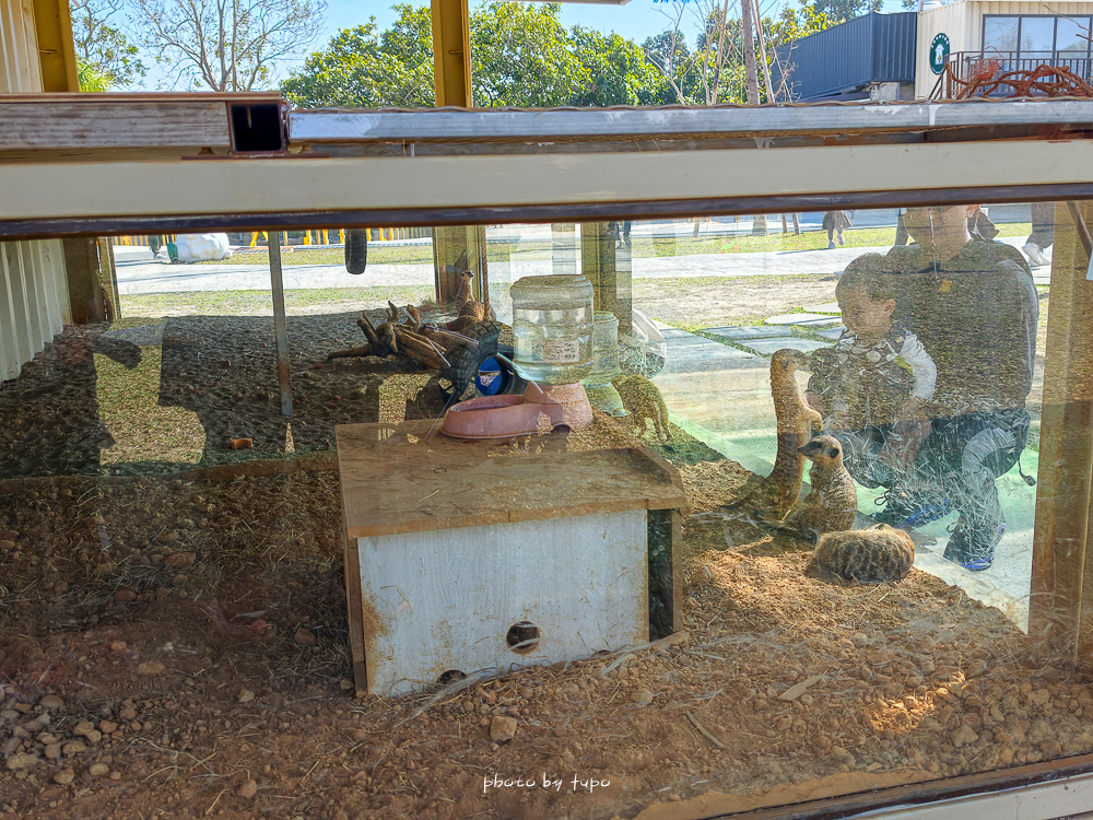 2026台中麗寶最狂首團！最新動物園、麗寶飯店、麗寶賽車旅店任你選，贈樂園門票、小孩免費入住