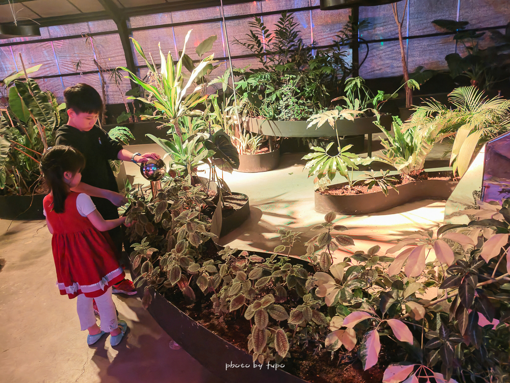 苗栗豪華露營推薦｜自然圈農場Glamping，一泊三食全包式親子露營攻略，包場100坪獨享空間