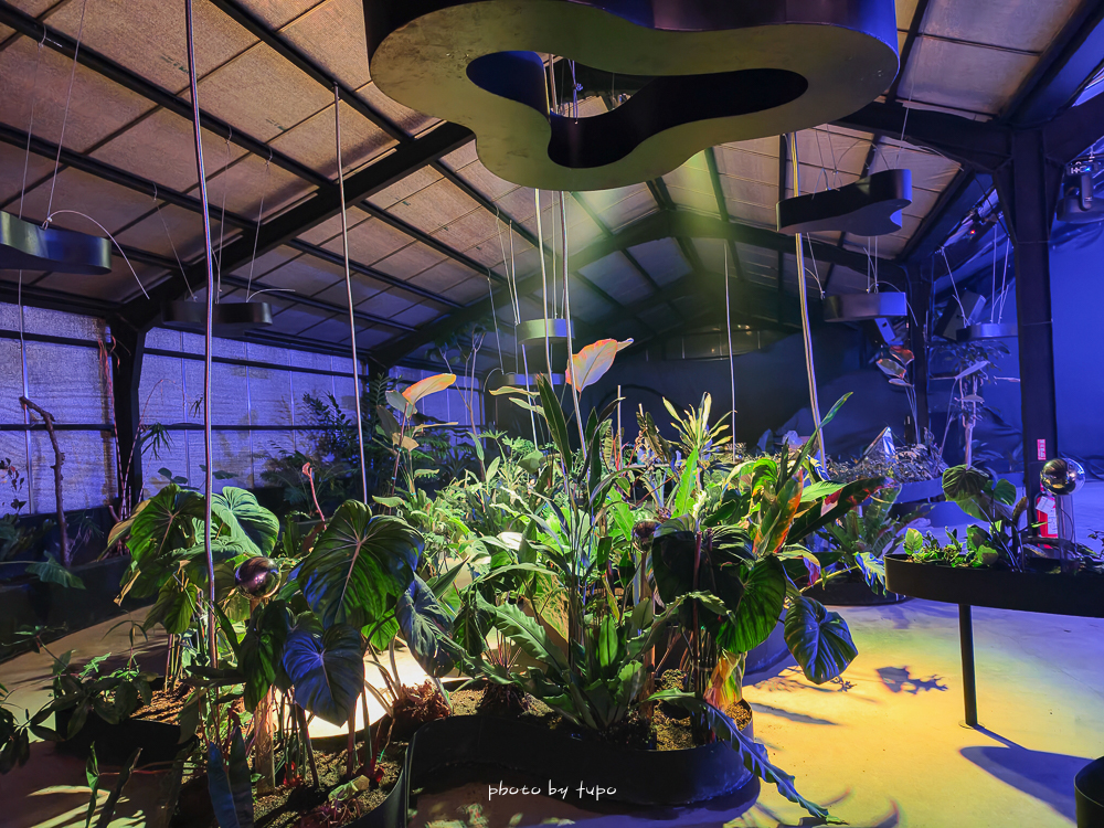 苗栗豪華露營推薦｜自然圈農場Glamping，一泊三食全包式親子露營攻略，包場100坪獨享空間