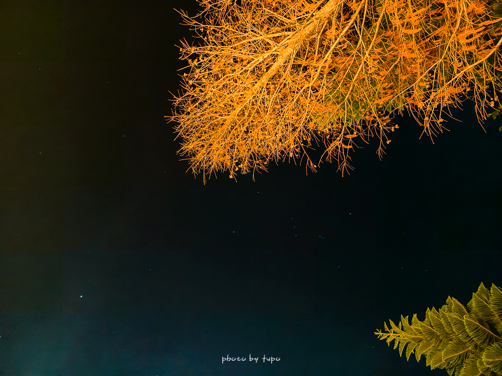 苗栗豪華露營推薦｜自然圈農場Glamping，一泊三食全包式親子露營攻略，包場100坪獨享空間