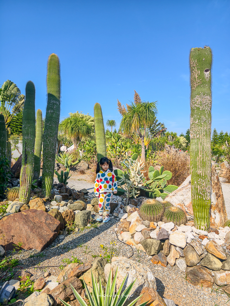 苗栗豪華露營推薦｜自然圈農場Glamping，一泊三食全包式親子露營攻略，包場100坪獨享空間