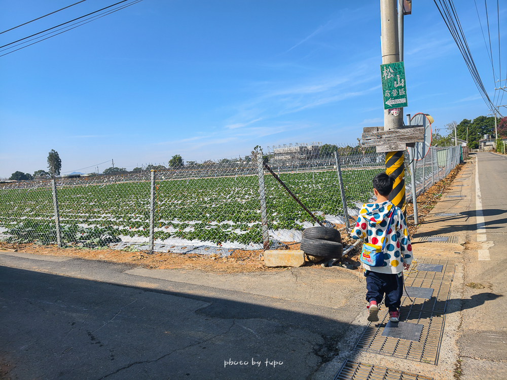 苗栗豪華露營推薦｜自然圈農場Glamping，一泊三食全包式親子露營攻略，包場100坪獨享空間