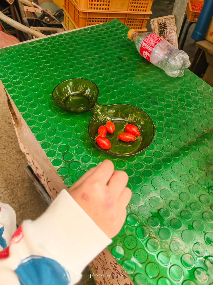 苗栗豪華露營推薦｜自然圈農場Glamping，一泊三食全包式親子露營攻略，包場100坪獨享空間