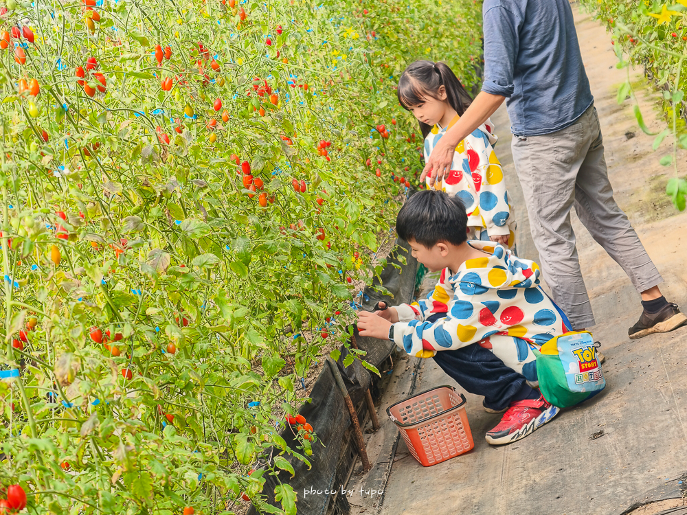 苗栗豪華露營推薦｜自然圈農場Glamping，一泊三食全包式親子露營攻略，包場100坪獨享空間